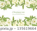 水彩で描いた白いクリスマスローズのフレーム 135619664