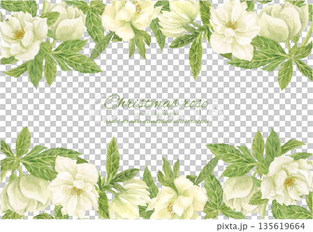 水彩白聖誕玫瑰畫框 135619664