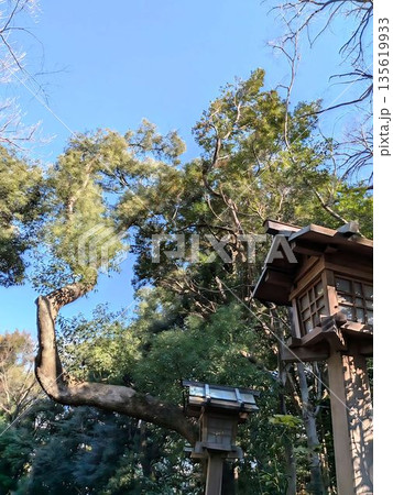 水上姉子神社、熱田神宮とゆかりのある神社 水上姉子神社、熱田神宮とゆかりのある神社 135619933