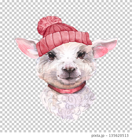 Hand drawn illustration of a cute white sheep or goat head wearing a red knitted hat and collar isolated on white background. Sweet animal character for nursery decor, seasonal greeting cards, and Hand drawn illustration of a cute white sheep or goat head wearing a red knitted hat and collar isolated on white background. Sweet animal character for nursery decor, seasonal greeting cards, and 135620513