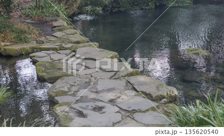 冬の明神池名水公園の石橋 135620540