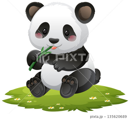 Cute Baby Panda Eating Bamboo on Grass Patch Cute Baby Panda Eating Bamboo on Grass Patch 135620689
