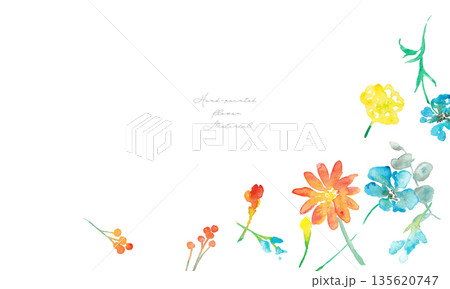 水彩画。水彩タッチのベクター植物イラスト。カラフルな花の水彩背景。春の植物。 水彩画。水彩タッチのベクター植物イラスト。カラフルな花の水彩背景。春の植物。 135620747