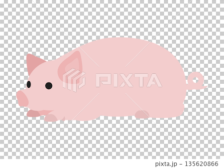 Cute vector illustration of a pig resting on its back Cute vector illustration of a pig resting on its back 135620866