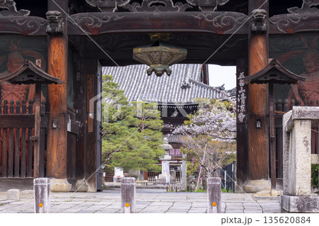 春の京都 清凉寺 (嵯峨釈迦堂) 桜と仁王門 春の京都 清凉寺 (嵯峨釈迦堂) 桜と仁王門 135620884