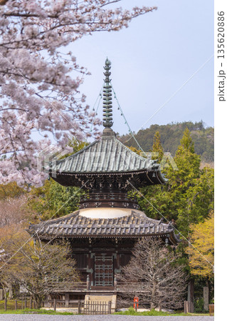 春の京都　清凉寺 (嵯峨釈迦堂)　桜と多宝塔 135620886