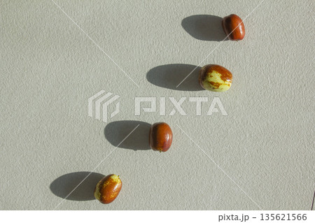 It's a jujube lying on the floor. It's a jujube lying on the floor. 135621566