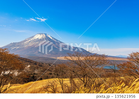 富士山パノラマ台 (12月 快晴) 富士山パノラマ台 (12月 快晴) 135621956