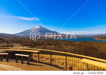 富士山パノラマ台 (12月 快晴) 富士山パノラマ台 (12月 快晴) 135621959