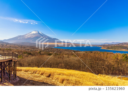 富士山パノラマ台 (12月 快晴) 富士山パノラマ台 (12月 快晴) 135621960