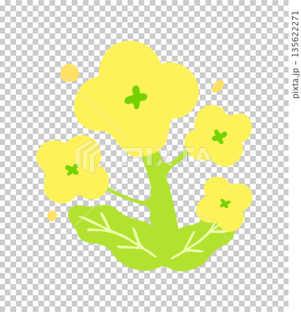 Hand drawn cute rapeseed flower illustration 135622271