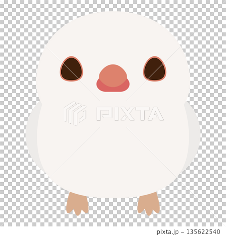 白石鳥 135622540