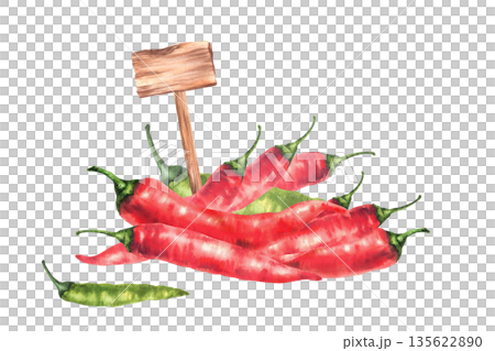 Watercolor hot chili pepper with wooden rustic price tag sign. Green and red whole vegetables pile. Hand drawn illustrations for vegetable market, spicy seasoning label design Isolated from background Watercolor hot chili pepper with wooden rustic price tag sign. Green and red whole vegetables pile. Hand drawn illustrations for vegetable market, spicy seasoning label design Isolated from background 135622890