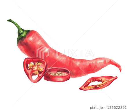 Watercolor red hot chili pepper, whole and cut pods round sliced with seeds. Spicy vegetable food spices clipart. Hand drawn illustration isolated from background for sauces label, cooking recipes 135622891