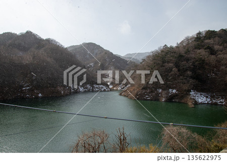 もみじ谷大吊橋 135622975