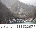 もみじ谷大吊橋 135622977