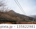 もみじ谷大吊橋 135622981