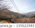 もみじ谷大吊橋 135622983