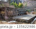 もみじ谷大吊橋 135622986