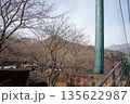 もみじ谷大吊橋 135622987