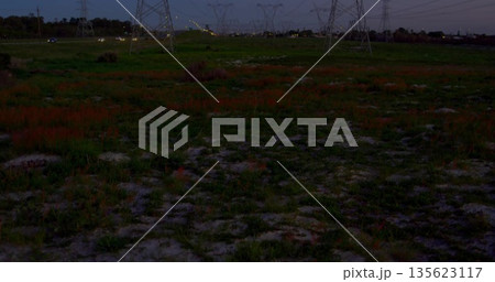 Dominating steel transmission tower standing in grassy field at dusk, with high-voltage power lines 135623117