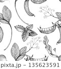 green peas on a branch young, drawn with a pencil on a white background, seamless pattern 135623591