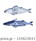 fish blue indigo with spots. Hand drawn with watercolor with texture. for fish restaurant design 135623631