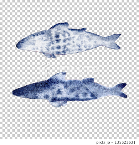 fish blue indigo with spots. Hand drawn with watercolor with texture. for fish restaurant design fish blue indigo with spots. Hand drawn with watercolor with texture. for fish restaurant design 135623631