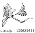 Branch of grapevine with leaves. Hand drawn with pencil. Graphic drawing. For food, packaging and cosmetics 135623633