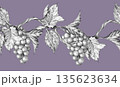 Grapevine branch with leaves and berries. Seamless border, Hand drawn with pencil on lilac background 135623634