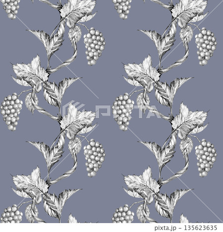 Grapevine branch with leaves and berries. Seamless pattern, Hand drawn with pencil on a lilac background Grapevine branch with leaves and berries. Seamless pattern, Hand drawn with pencil on a lilac background 135623635