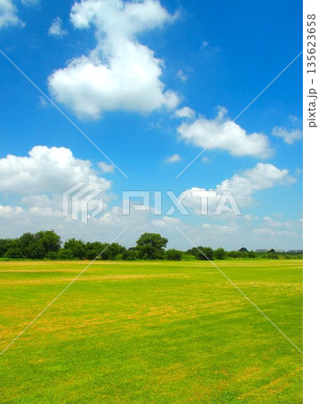 真夏の誰もいない猛暑日の江戸川河川敷のサッカー場風景 135623658