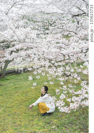 桜と若い女性 桜と若い女性 135623733