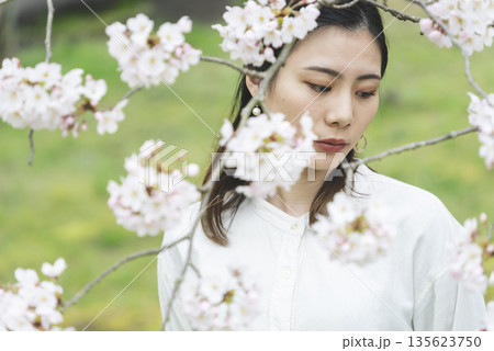 桜と若い女性 桜と若い女性 135623750