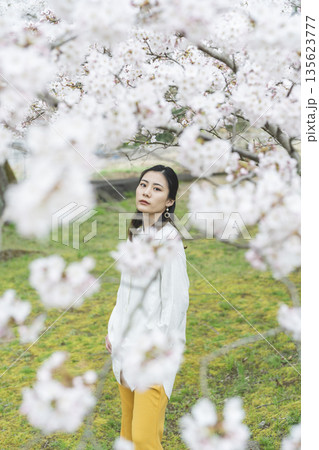 桜と若い女性 桜と若い女性 135623777