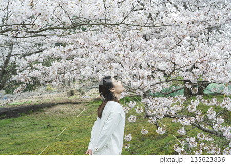 満開の桜を背景にして、笑顔の若い女性 満開の桜を背景にして、笑顔の若い女性 135623836