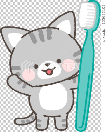 虎斑貓拿著牙刷 135625103