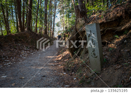 山の辺の道 山の辺の道 135625195