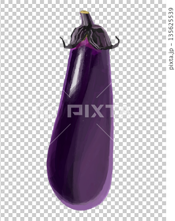 Illustration of a whole eggplant Illustration of a whole eggplant 135625539