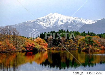 秋の鳥海山と湖面に映る紅葉 135625582