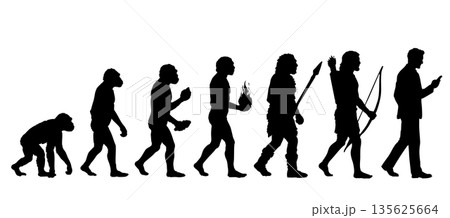 人類の進化 類人猿 人間に移り変わるシルエットのイラストセット 135625664