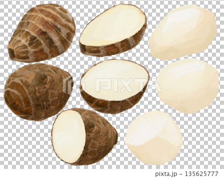 里芋のイラストセット 135625777