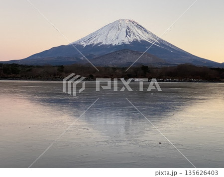 うっすらとした夕焼けのピンクの空を背景に冠雪した子抱き富士山が逆さに映る精進湖の結氷した湖面 うっすらとした夕焼けのピンクの空を背景に冠雪した子抱き富士山が逆さに映る精進湖の結氷した湖面 135626403