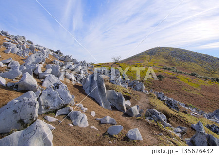 滋賀県の霊仙山、カレンフェルトが広がる山頂付近と最高点ピーク 滋賀県の霊仙山、カレンフェルトが広がる山頂付近と最高点ピーク 135626432