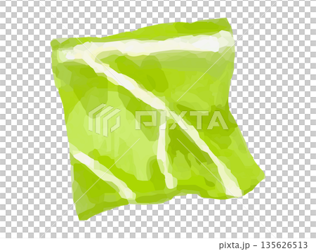 Illustration of a slice of chopped cabbage Illustration of a slice of chopped cabbage 135626513