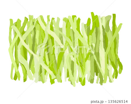 千切りキャベツのイラスト 135626514