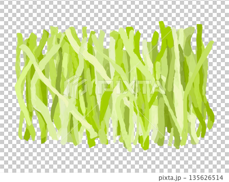 千切りキャベツのイラスト 135626514