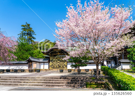 【神奈川県】鎌倉の建長寺に咲く美しい桜 135626560