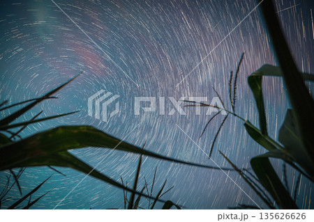 Star Trails . Night Starry Sky Glowing Milky Way Stars And Meteoric Track Trails Above Maize Corn Field In Summer Agricultural Season Cornfield. Spin Of Stars In Sky. Rotate Sky Background. Spin Star Trails . Night Starry Sky Glowing Milky Way Stars And Meteoric Track Trails Above Maize Corn Field In Summer Agricultural Season Cornfield. Spin Of Stars In Sky. Rotate Sky Background. Spin 135626626
