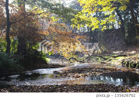 磯川緑地公園 135626702